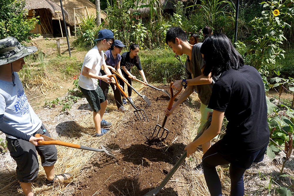 Sustainability Education